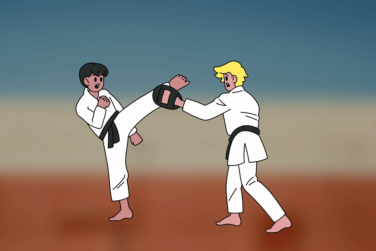 karate, martial arts, sparring-6726683.jpg